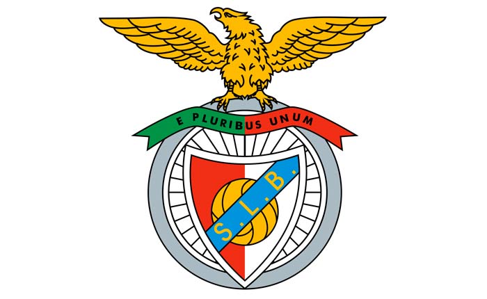 benfica training experience